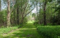 Nieruchomość gruntowa dla inwestorów, 16,444 mln PLN